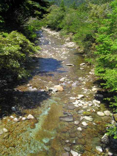 三重県大又川