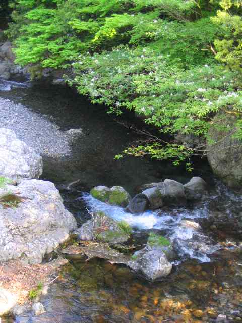 三重県大内山川