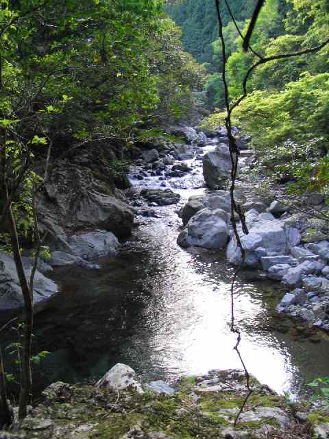 三重県大内山川