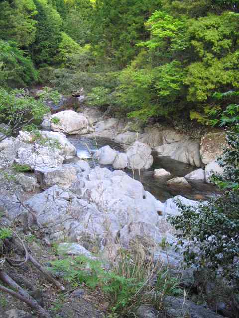 三重県大内山川