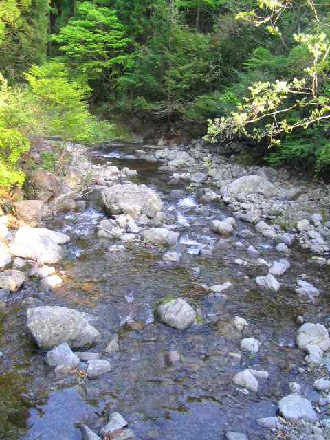 三重県大内山川