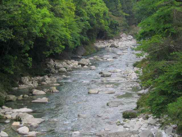 古座川・ダム上流