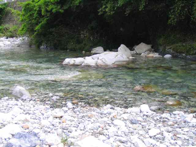 古座川・ダム上流