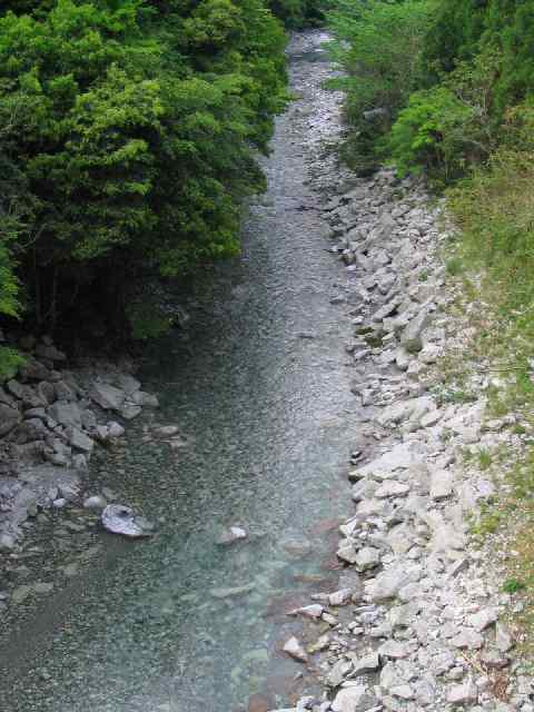 古座川・ダム上流