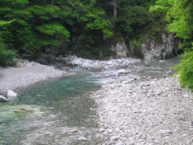 古座川・ダム上流