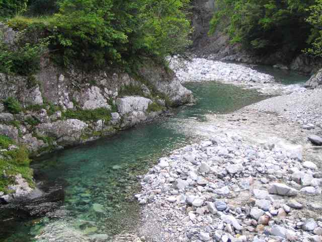 古座川・ダム上流