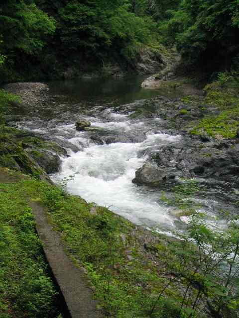 奈良県北山川(下北山村)