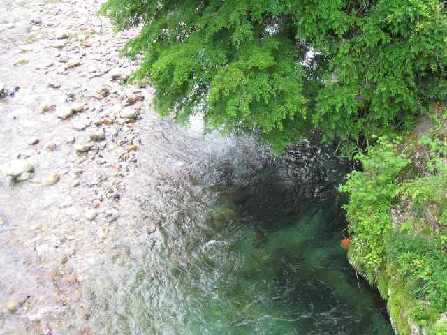 奈良県北山川(下北山村)