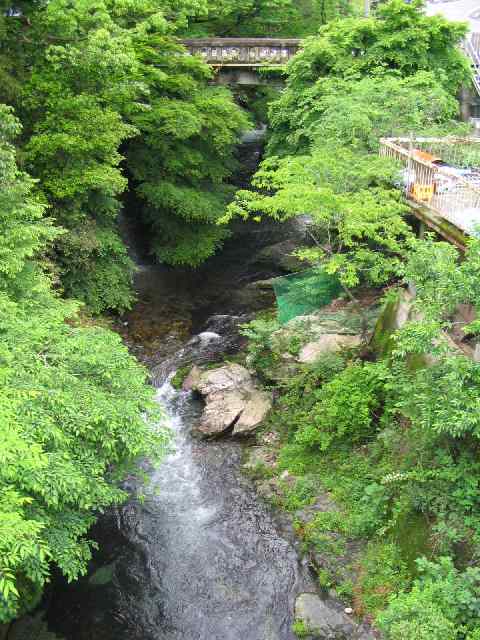 奈良県北山川(下北山村)