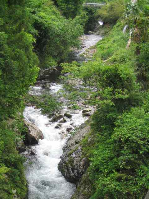 奈良県北山川(下北山村)