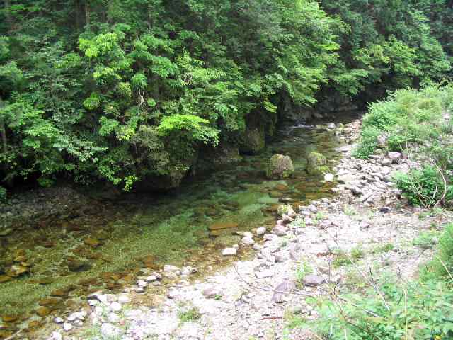 奈良県北山川(下北山村)