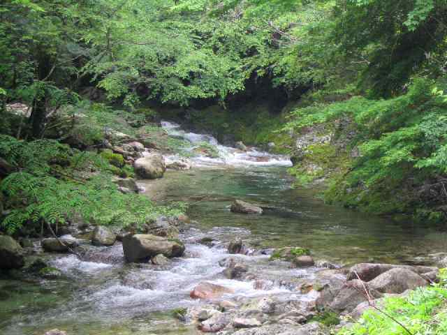 奈良県北山川(下北山村)