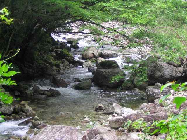 奈良県北山川(下北山村)