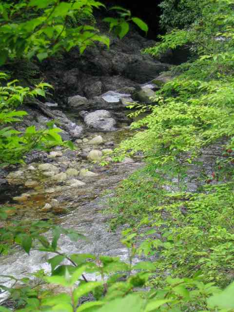 奈良県北山川(下北山村)