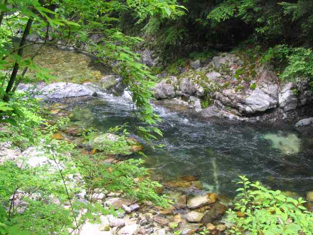 奈良県北山川(下北山村)