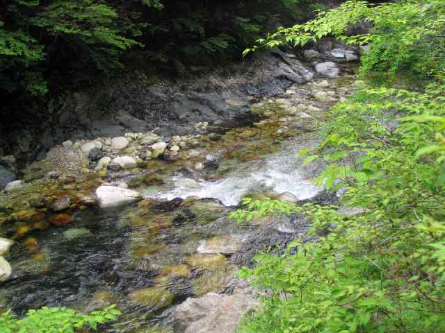 奈良県北山川(下北山村)