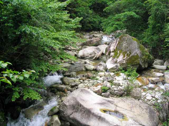 奈良県北山川(下北山村)