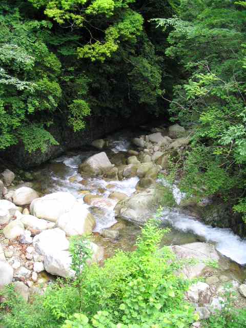 奈良県北山川(下北山村)