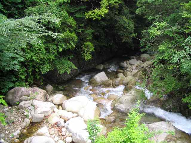 奈良県北山川(下北山村)