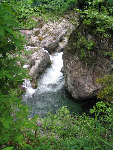 奈良県北山川(下北山村)