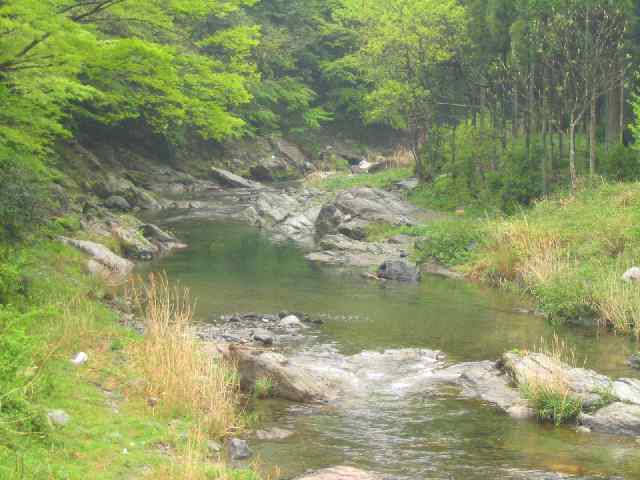 奈良県高見川