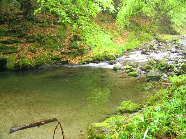 奈良県高見川