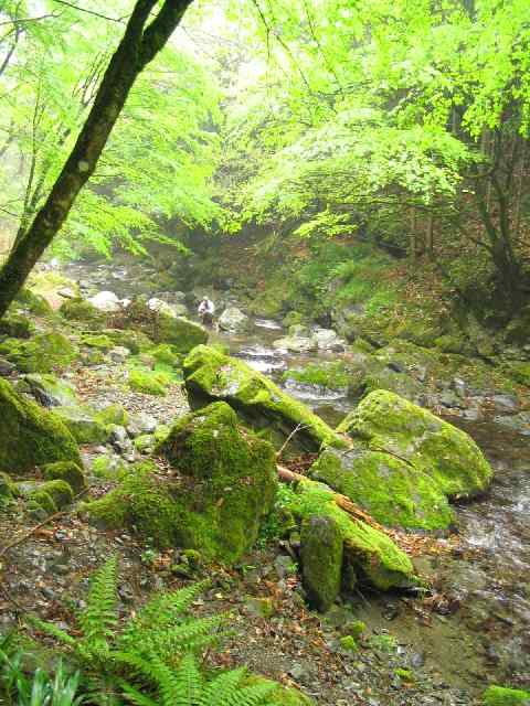 奈良県高見川