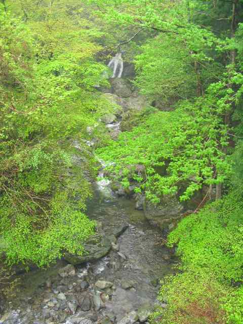 奈良県高見川