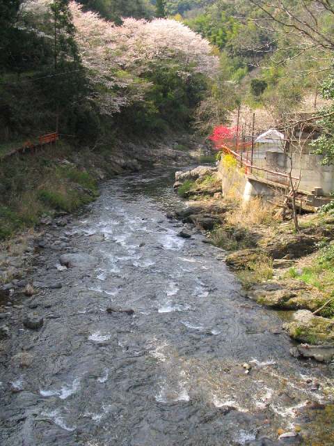 和歌山県丹生川(玉川峡)