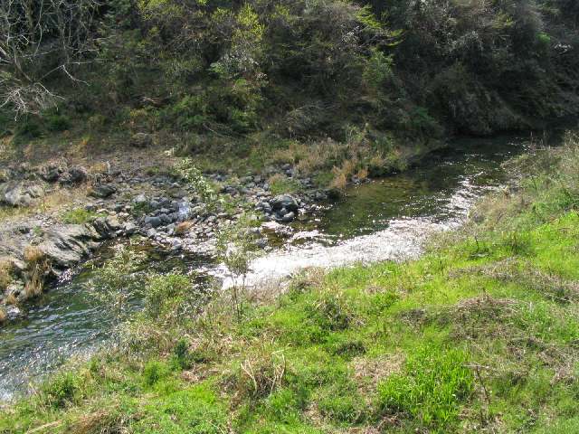 和歌山県丹生川(玉川峡)