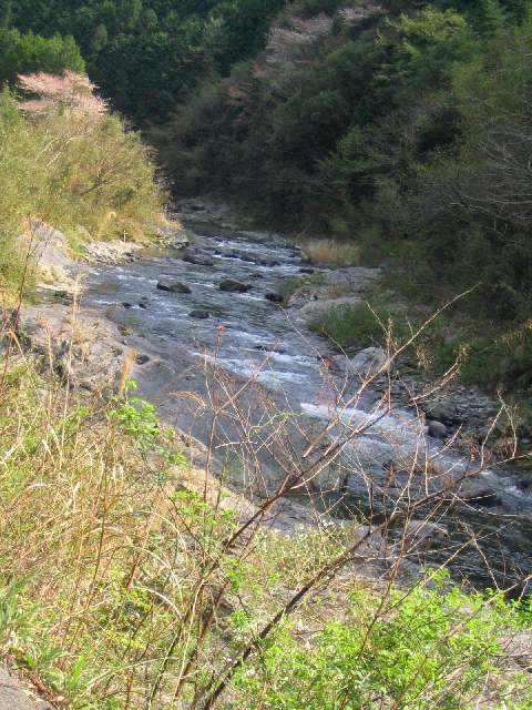 和歌山県丹生川(玉川峡)