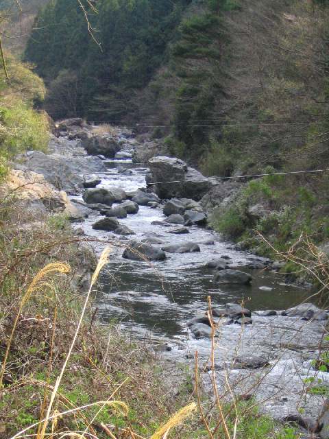 和歌山県丹生川(玉川峡)