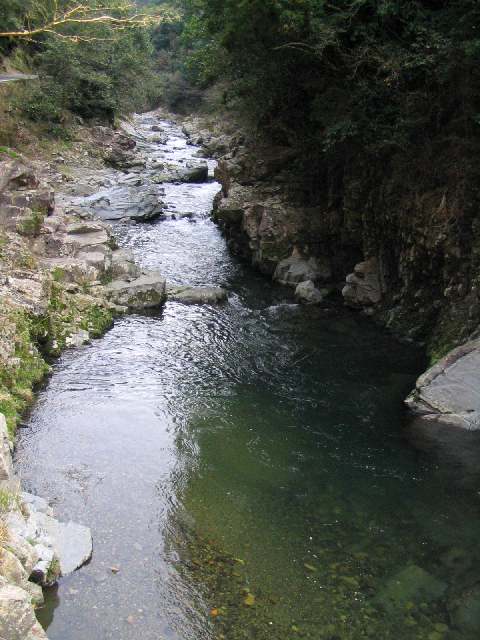 和歌山県丹生川(玉川峡)