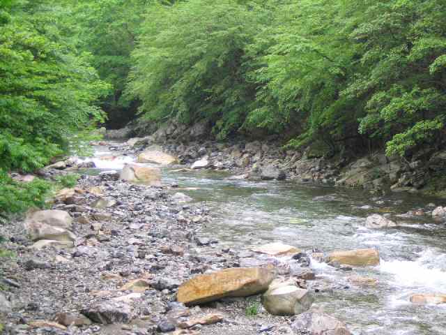 奈良県天の川