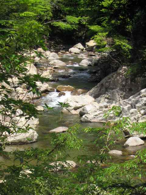 和歌山県富田川