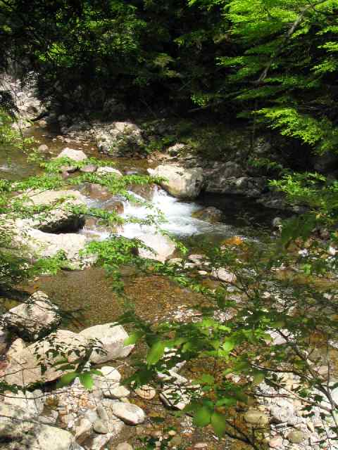 和歌山県富田川