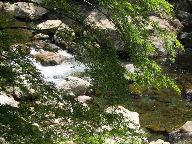 和歌山県富田川