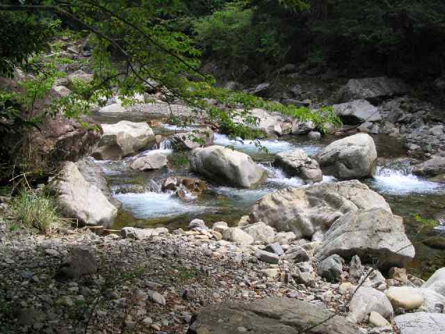 和歌山県富田川