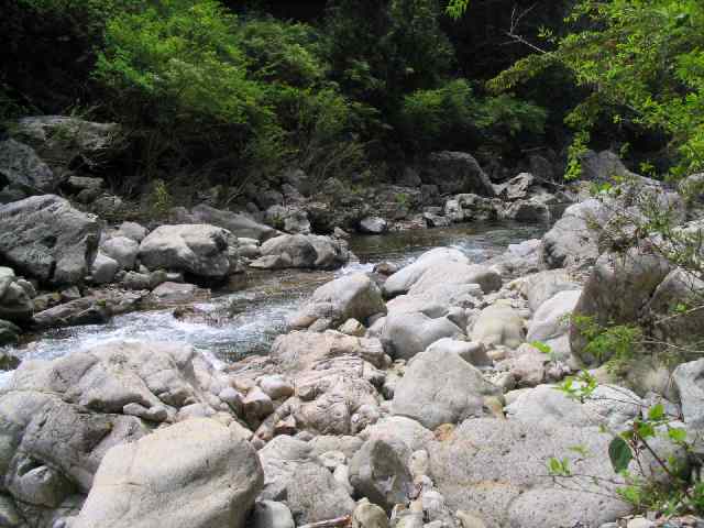 和歌山県富田川