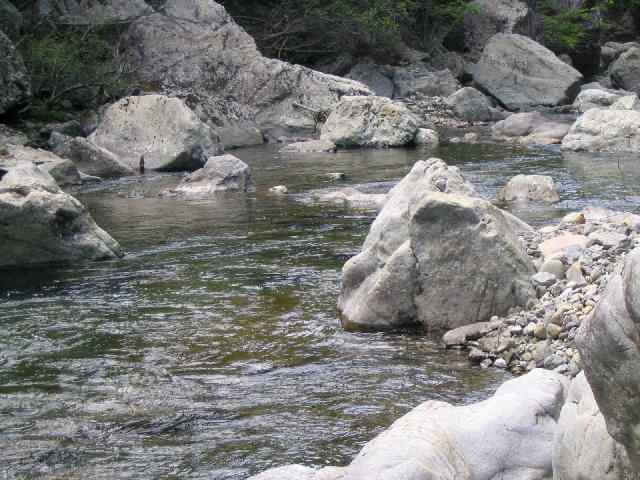 和歌山県富田川