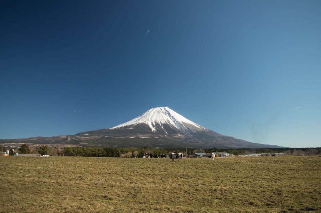 朝霧高原