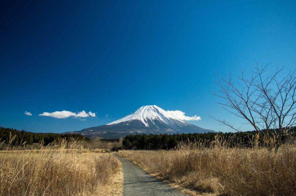 朝霧高原