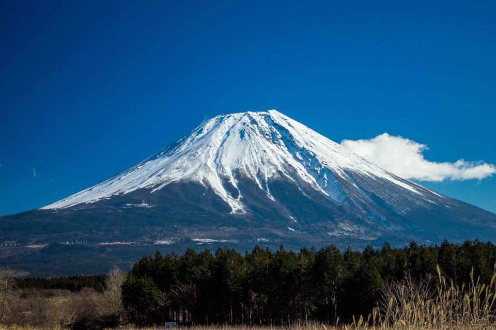 朝霧高原