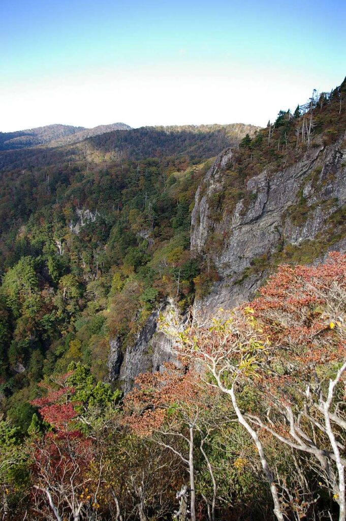 大台ヶ原