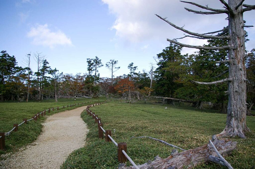 大台ヶ原