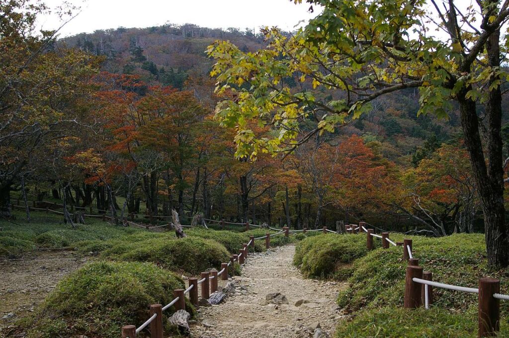 大台ヶ原