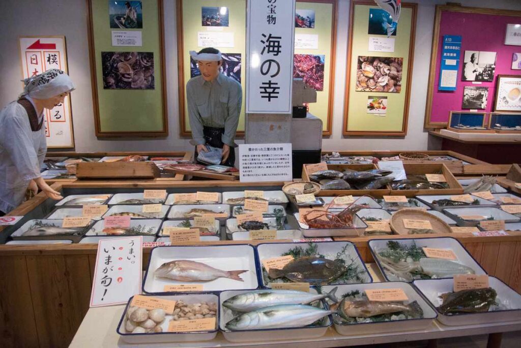 鳥羽市立 海の博物館