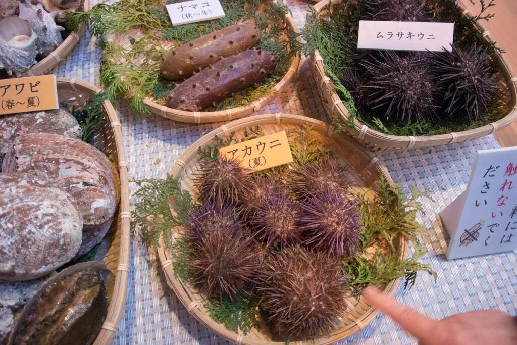 鳥羽市立 海の博物館