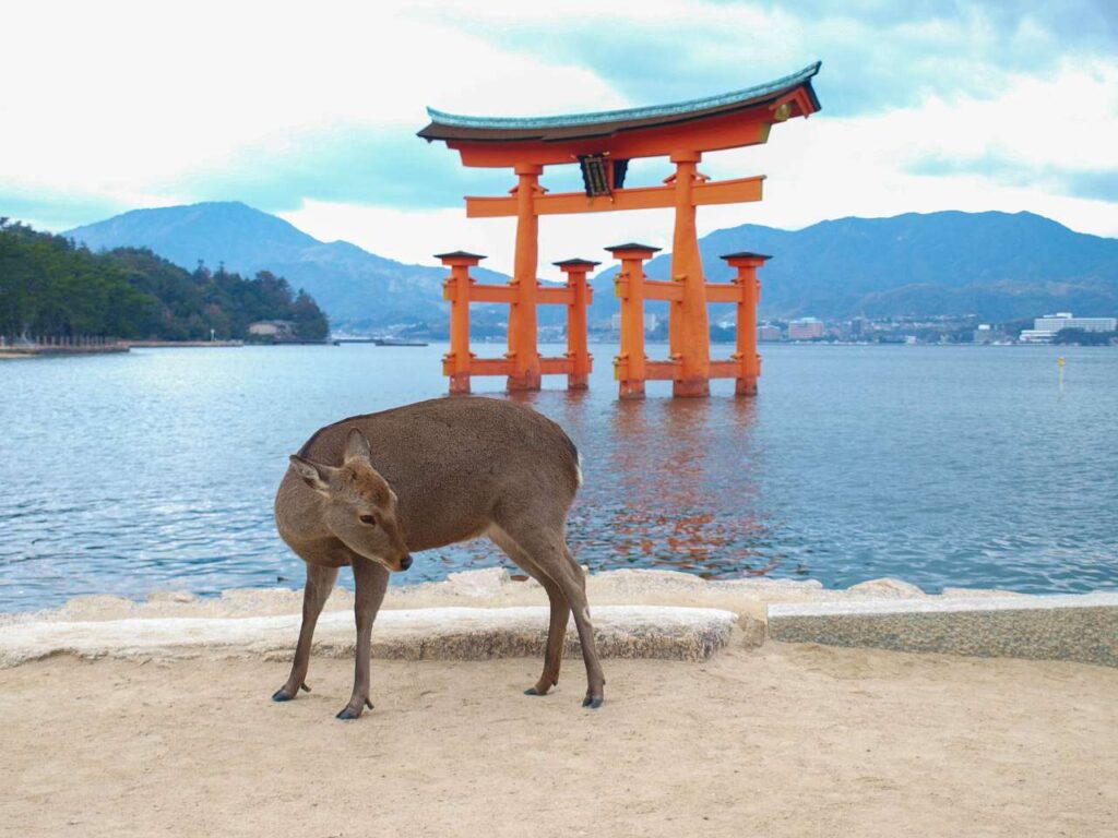 安芸の宮島、厳島神社