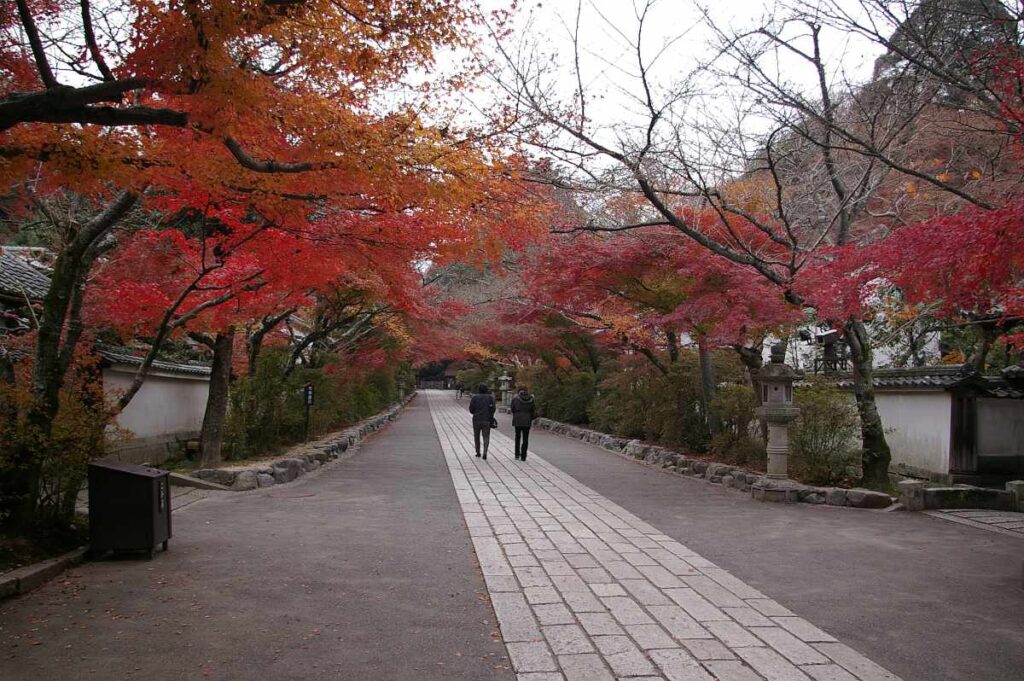 石山寺　紅葉